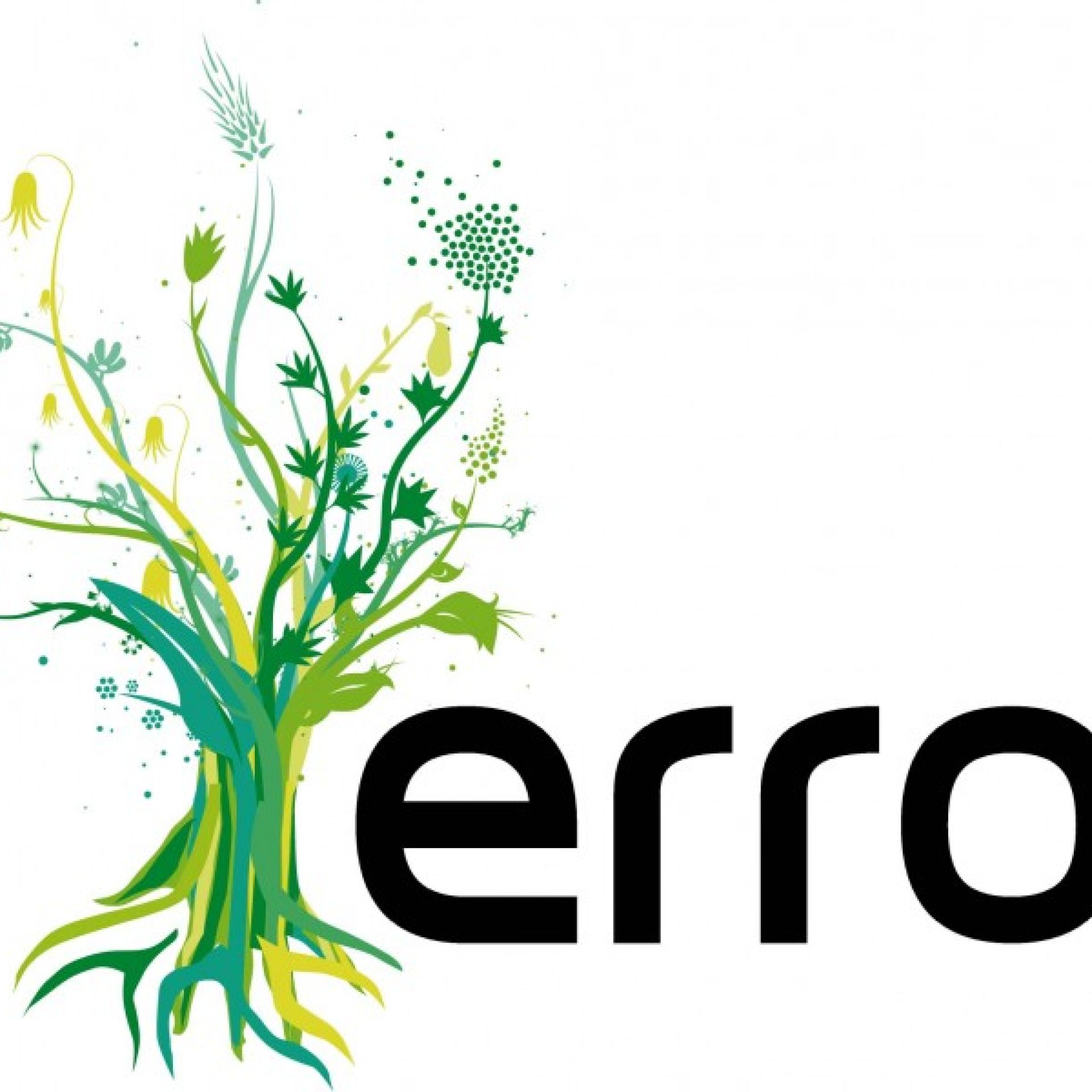 Erro