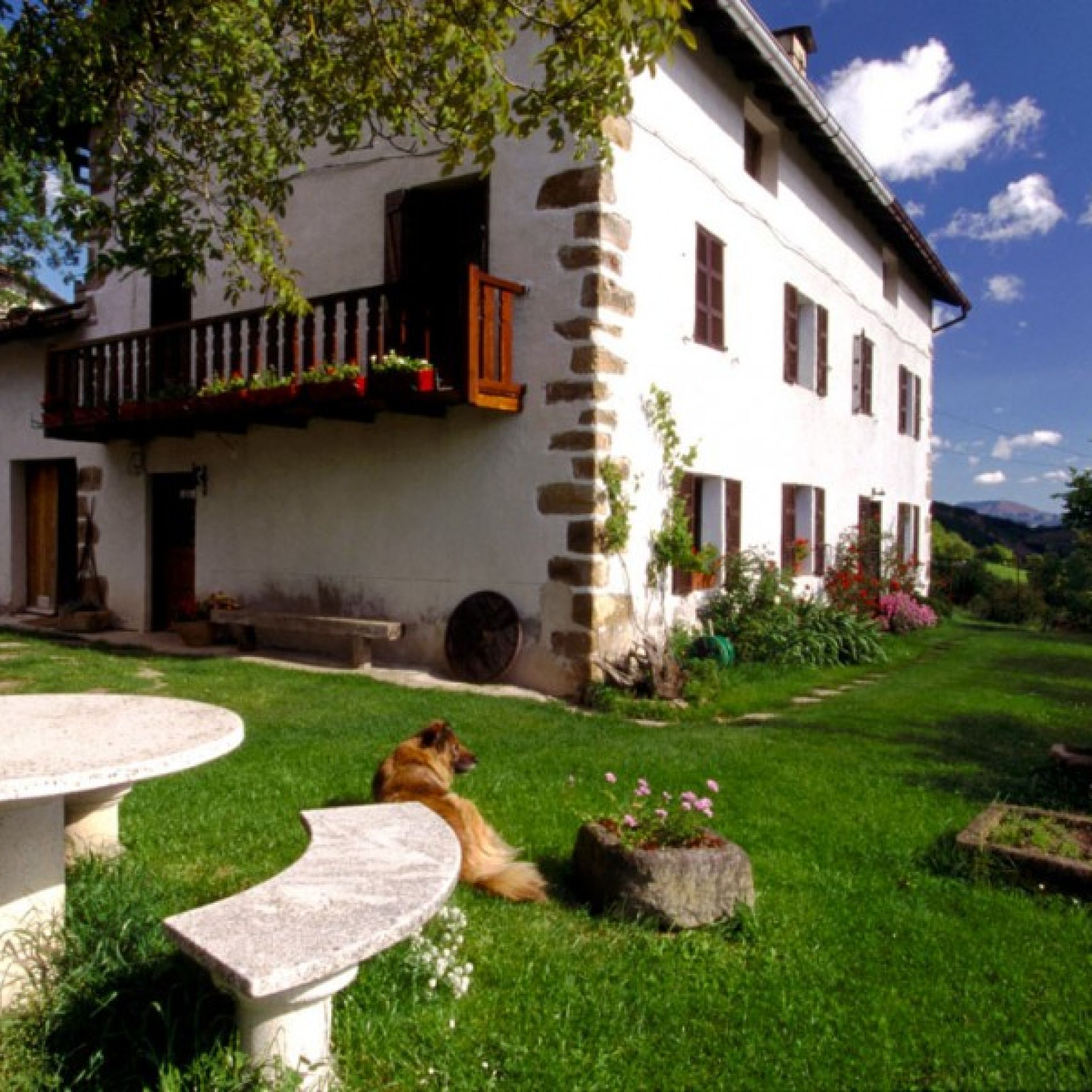 Arrieta Haundi Nekazalturismoa