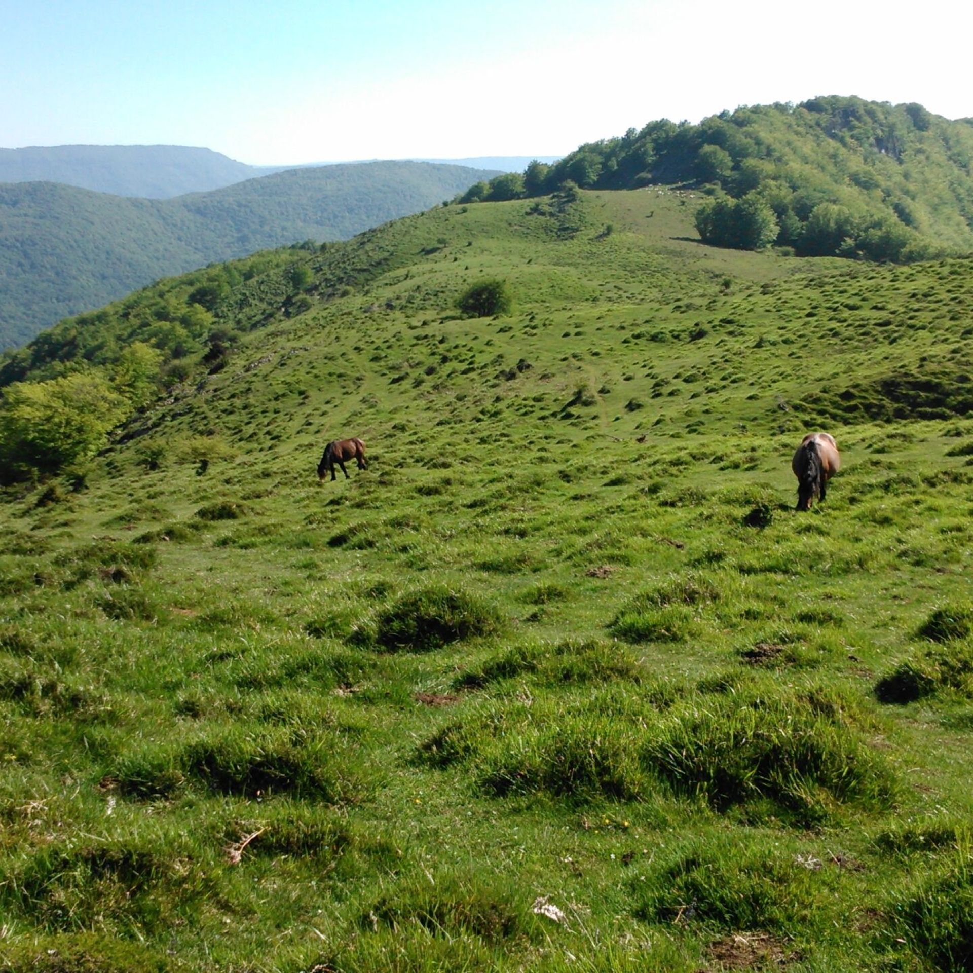 Vuelta a Intsusti PR-Gi 2002