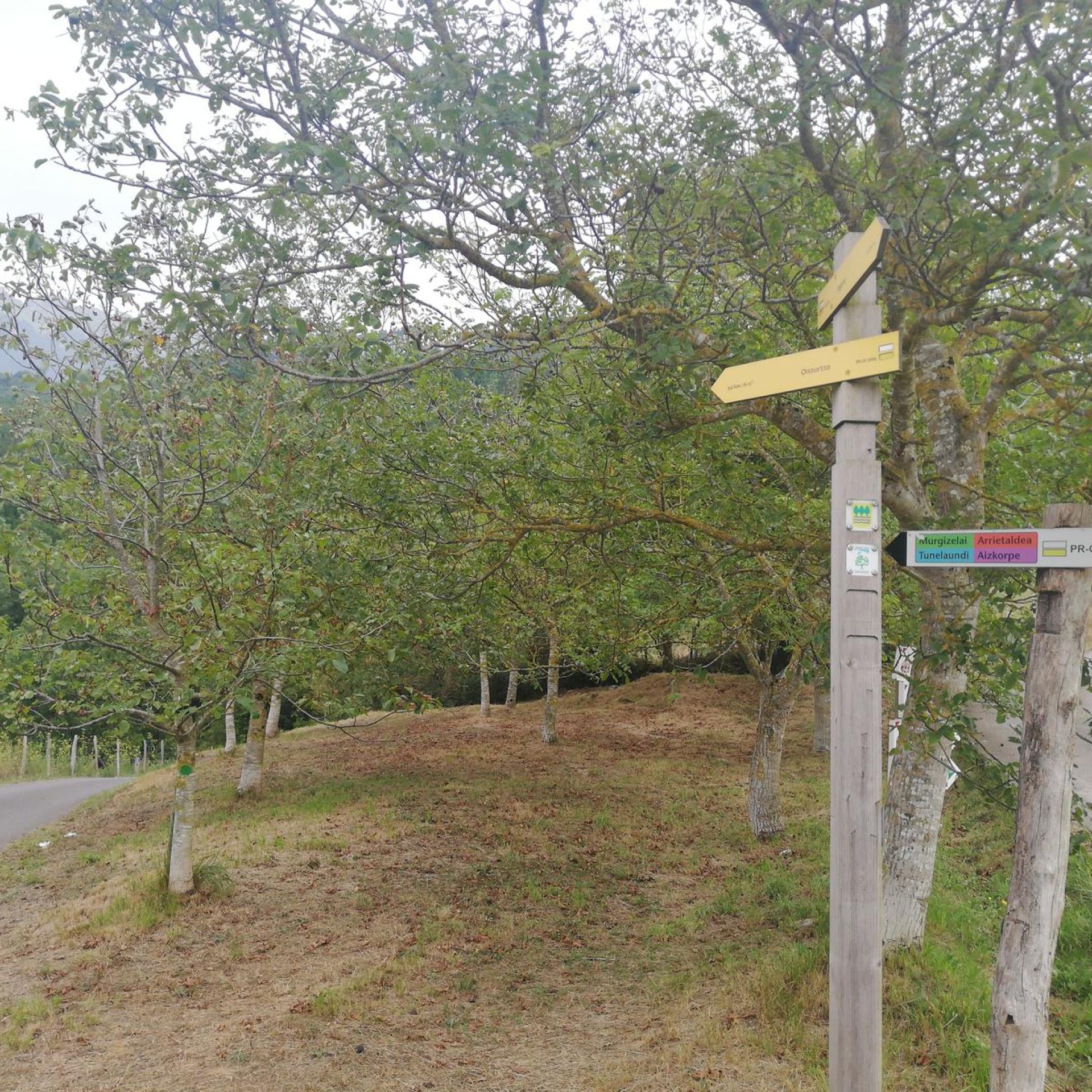 Zegama-Arrietaldea